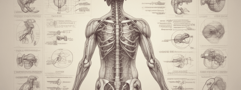 Human Anatomy and Physiology Terminology Quiz