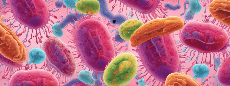 Pseudomonas Aeruginosa Characteristics Quiz