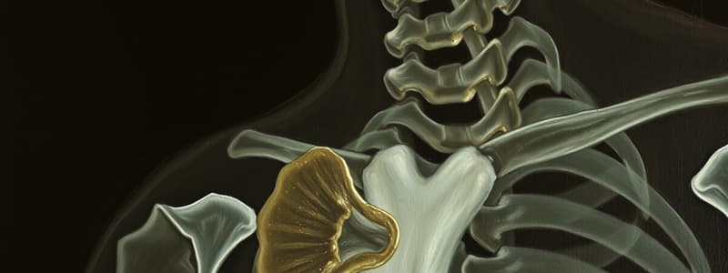 Endocrinology: Parathyroid Gland Functions