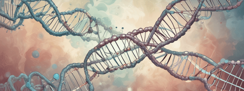 Bioquímica Médica II: Metabolismo de Pirimidinas