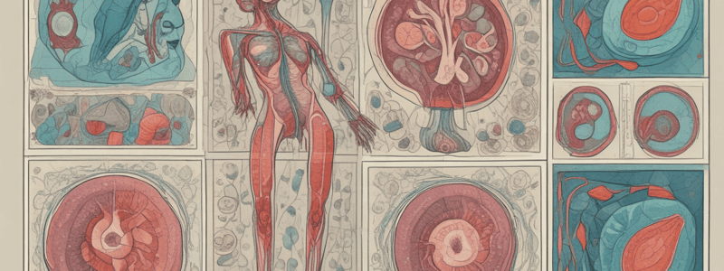 Understanding Scales in Biology