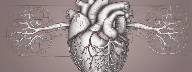 Basic Heart Anatomy Quiz