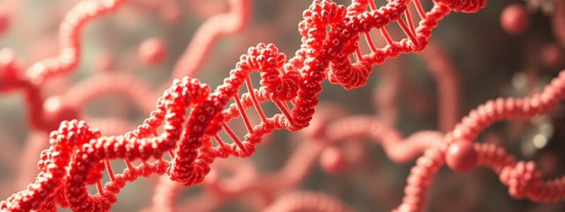 Nucleic Acids Overview