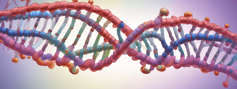 Transcription in Prokaryotes: RNA Polymerase [Part 1]