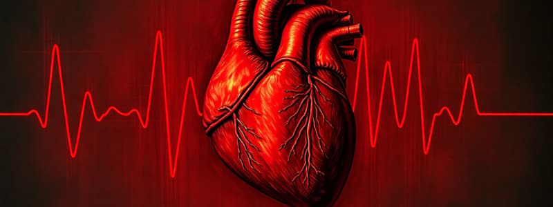 Bio 13.1 part 2 Heart Conduction System and Cardiac Cycle