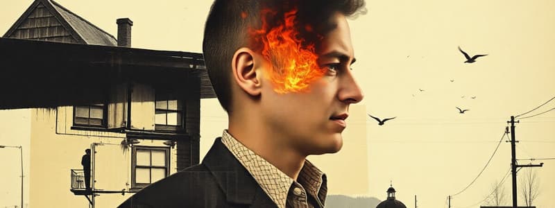Fires & Human Activity