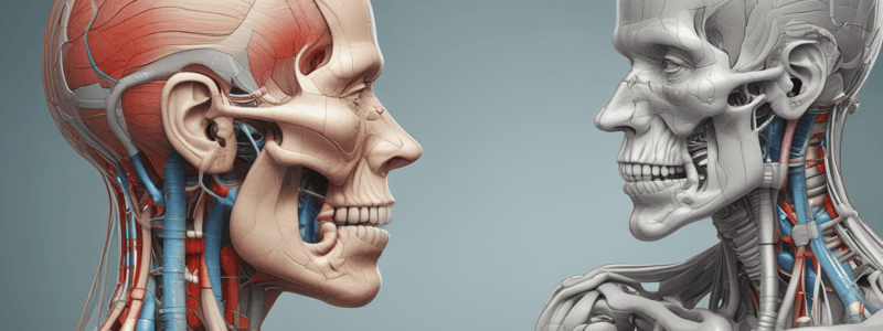 Anatomy - Cranial Nerves and Ligaments Quiz