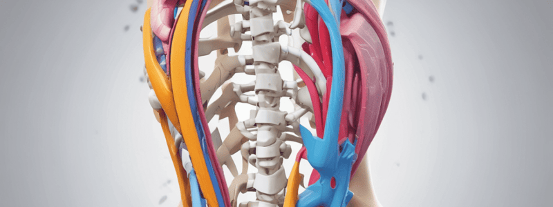 Spinal Ligamentous Support Quiz