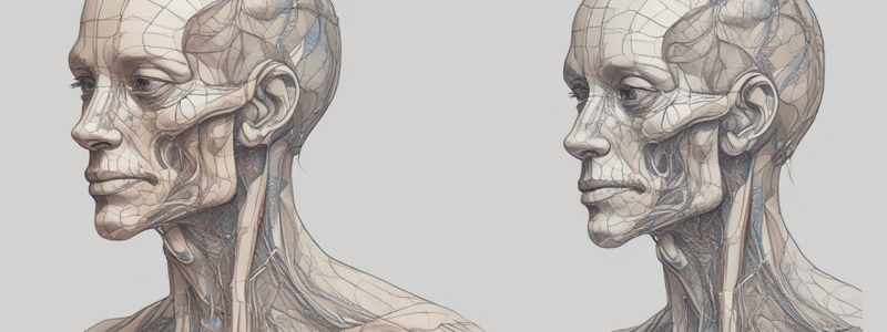 Erbs Palsy and Brachial Plexus Injuries Quiz