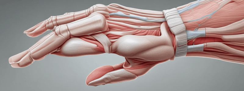 Rehabilitation of flexor and extensor tendon injuries in the hand: Current updates