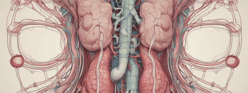 Functions of Kidney