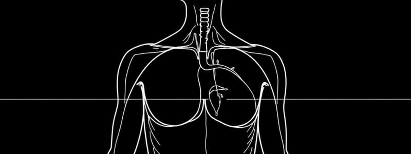 Barocettori e Chemocettori nel Sangue (fisiologia 51)