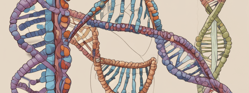 Basics of Genetics Quiz