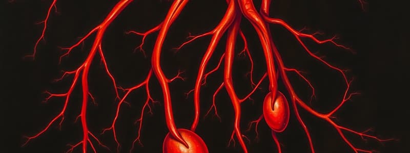 Blood Vessels and Hemodynamics