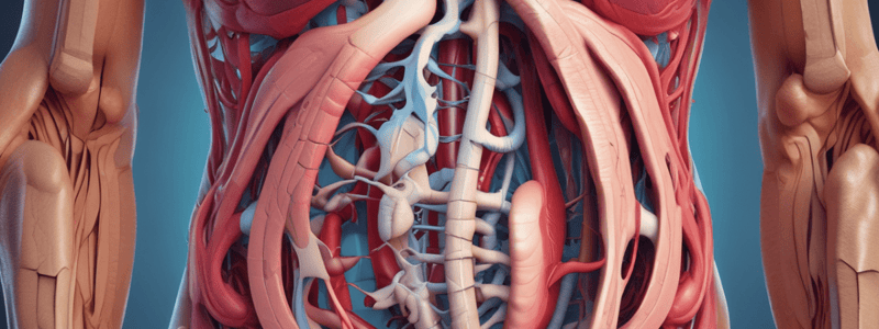 L19 The Stomach Planes and Abdominal Regions Quiz