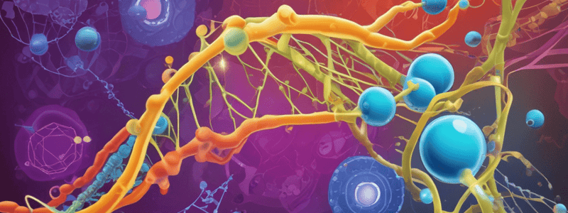 DNA structure and replication: fill in the blank