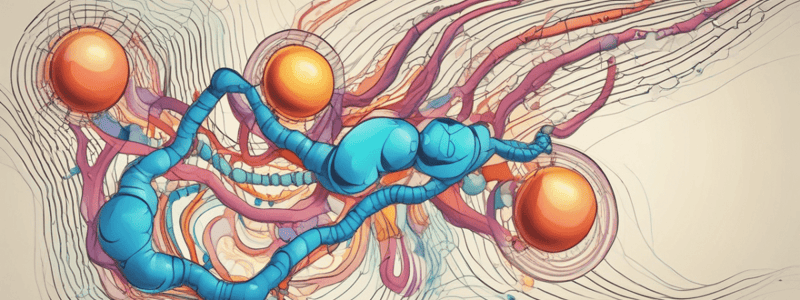 Signal Sequence in Protein Synthesis