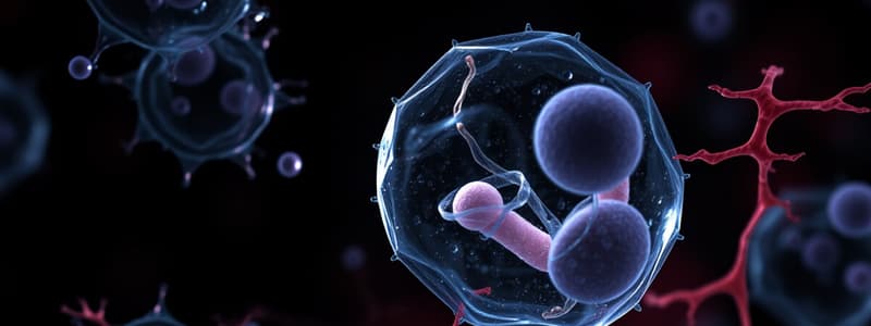 Biology Chapter 2.4: Cell Division and Death