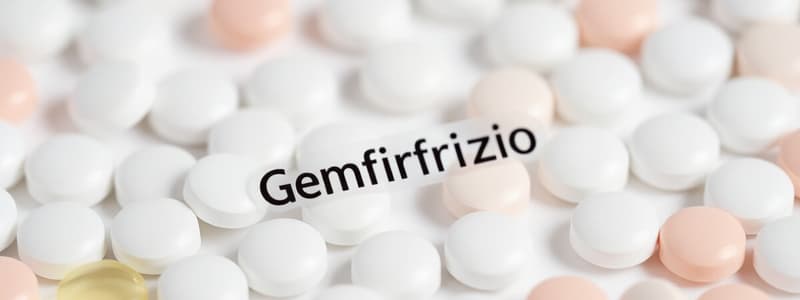 Pharmacology of Statins and Gemfibrozil