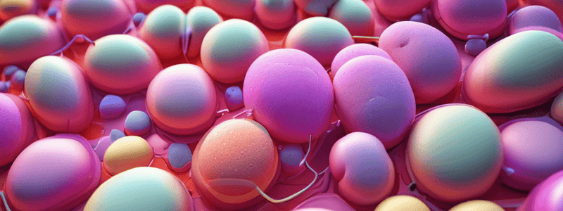 Beta-Lactams II Miscellaneous Peptide Antibiotics Lecture Objectives