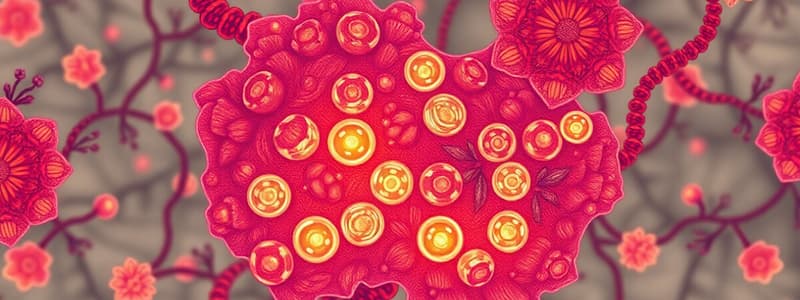 Lipid Metabolism Overview