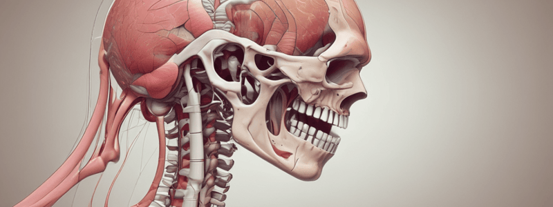 Y1S2 005 II Pharmacology of Skeletal Muscle Systems