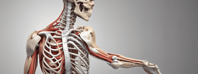 Physical Therapy: Shoulder Joint Assessment