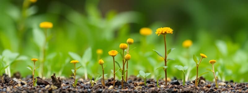 Écologie des Communautés