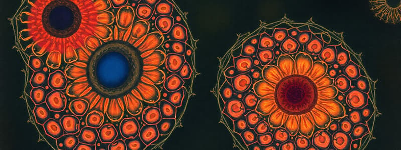 Prokaryotic vs. Eukaryotic Cells Quiz