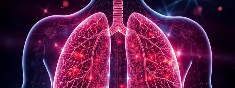 Biology Chapter: Human Respiratory System