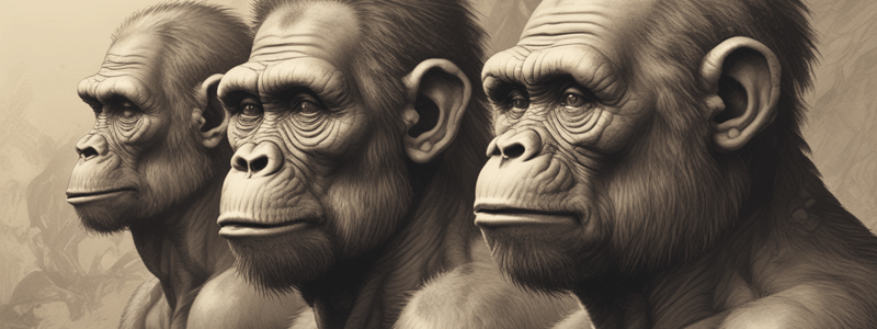 BIOB170N Quiz 12: Hominid Evolution