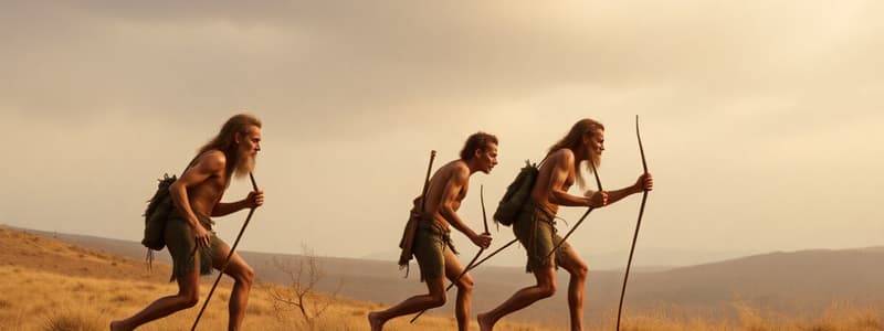 Early Humans and Their Lifestyle