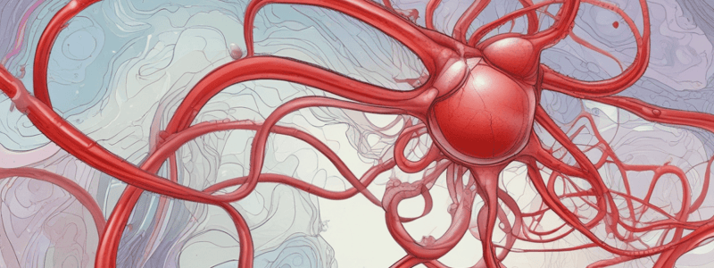 Oxygen Transport in Blood