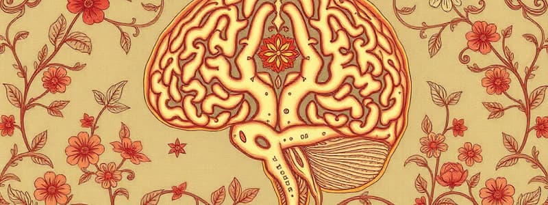 Neuropsychology Case Studies: Frontal Lobe Dysfunction