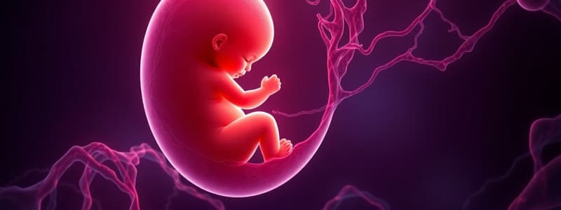 Embriología y Histología de la Placenta