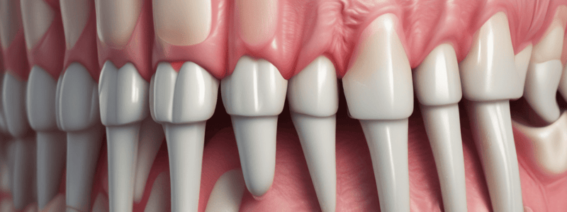 Periodontal Ligament Anatomy