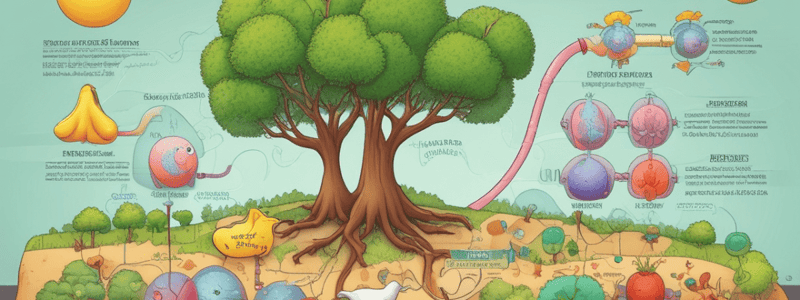 Citric Acid Cycle Overview