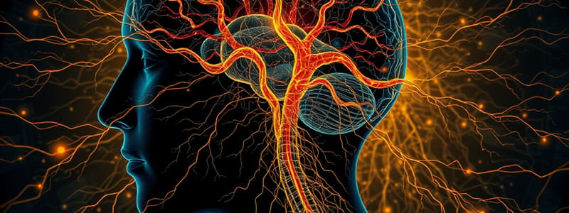 Neural Pathways: Corticospinal Tracts Overview