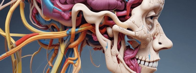 Vestibular System - Cranial Nerve VIII Quiz