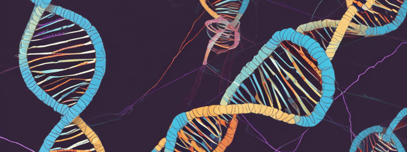 DNA Replication and Synthesis