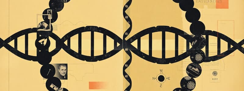 Biochemistry I - DNA Functions and Structure