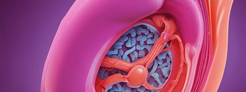 Female Reproductive Pathology Disorders Quiz