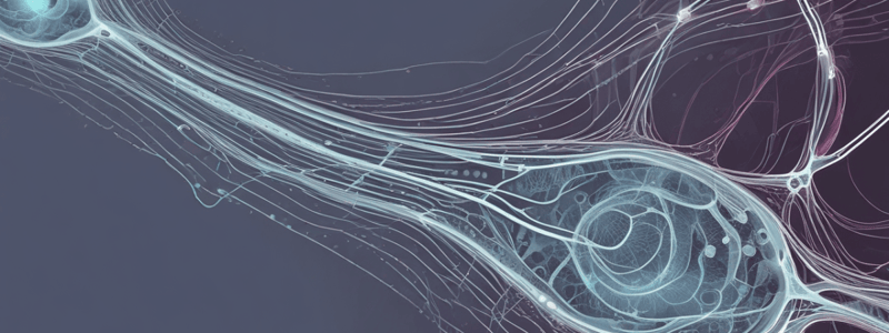 Lecture 9:Image Formation on the Retina