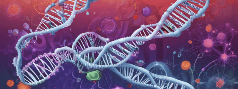 DNA Viruses: Properties, Replication, and Diseases