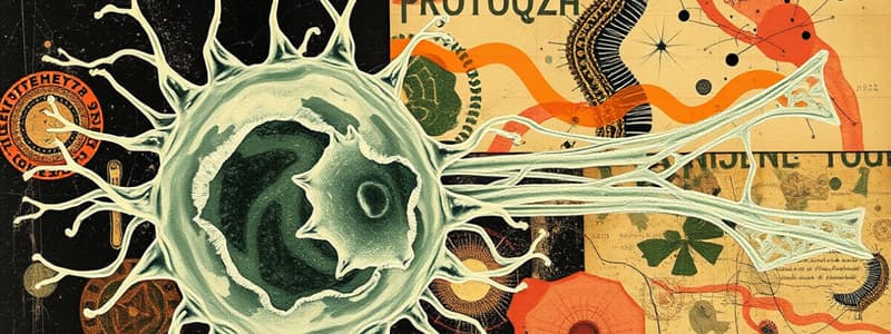 Protozoa Structure and Function