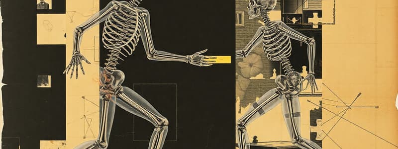 Joint Motion Biomechanics