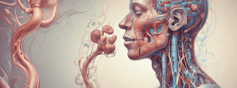 Microbiology of Upper Respiratory Tract