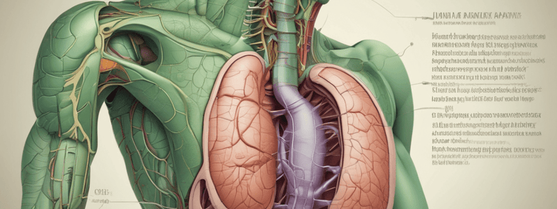 Gallbladder and Bile System Overview