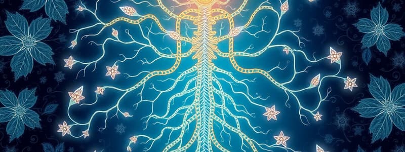 Nervous System Overview