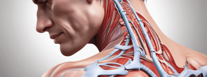 Rotator Cuff Impingement Stages